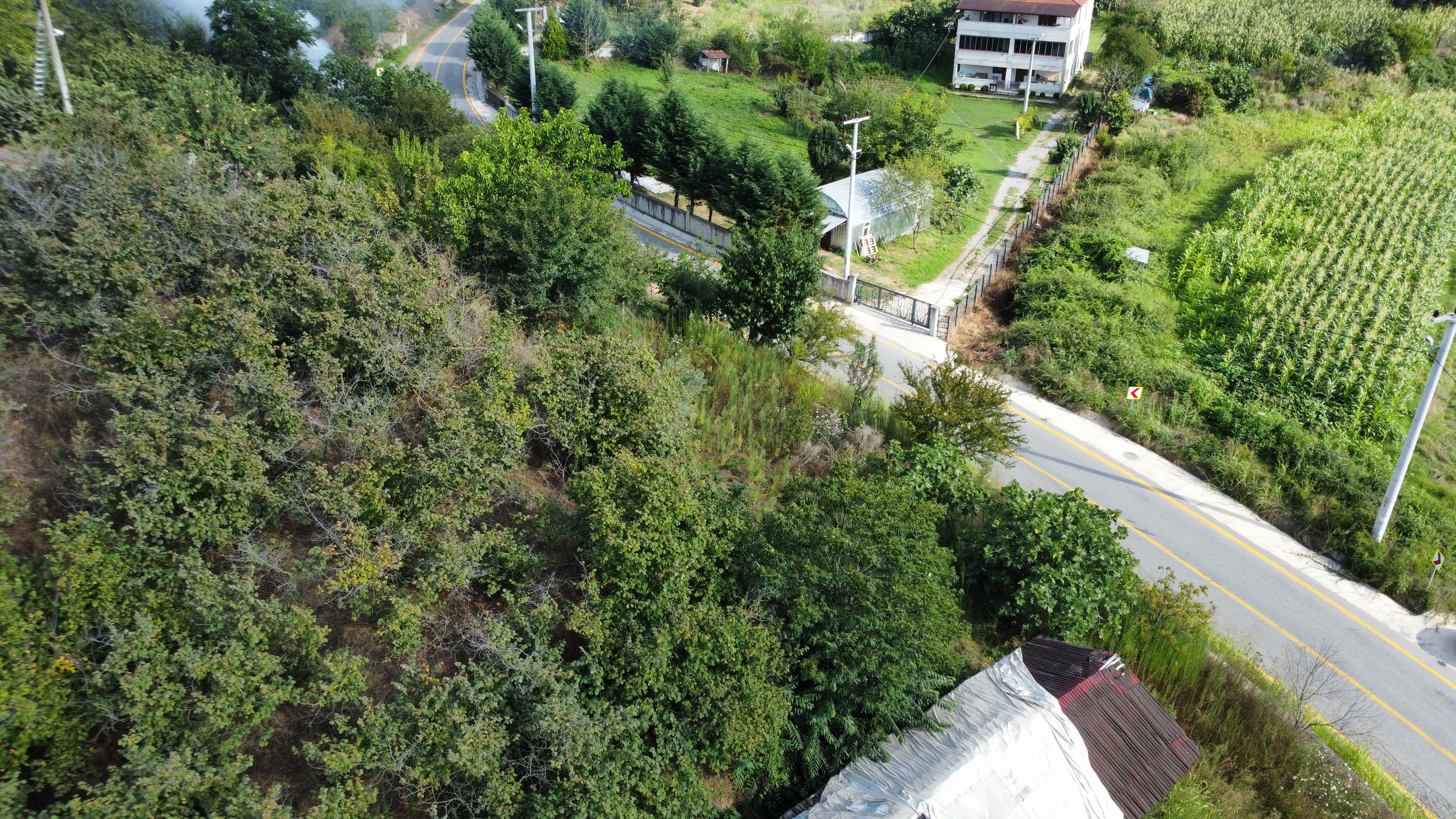 Kocaali Kozluk 1.100 m² İmarlı Arsa