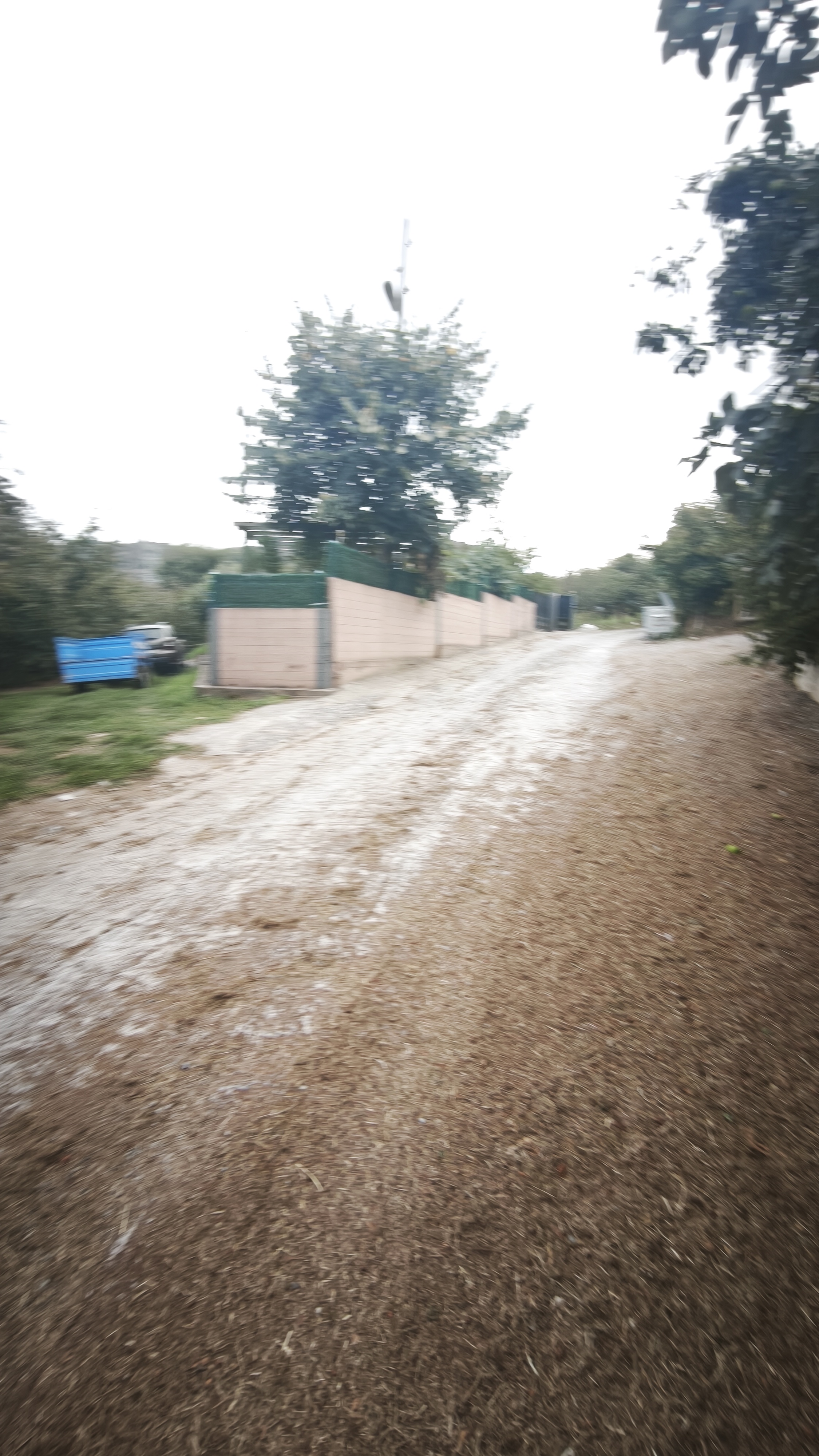 Karasu Kuzuluk 2.650 m² Fındık Bahçesi ve Eski Ev