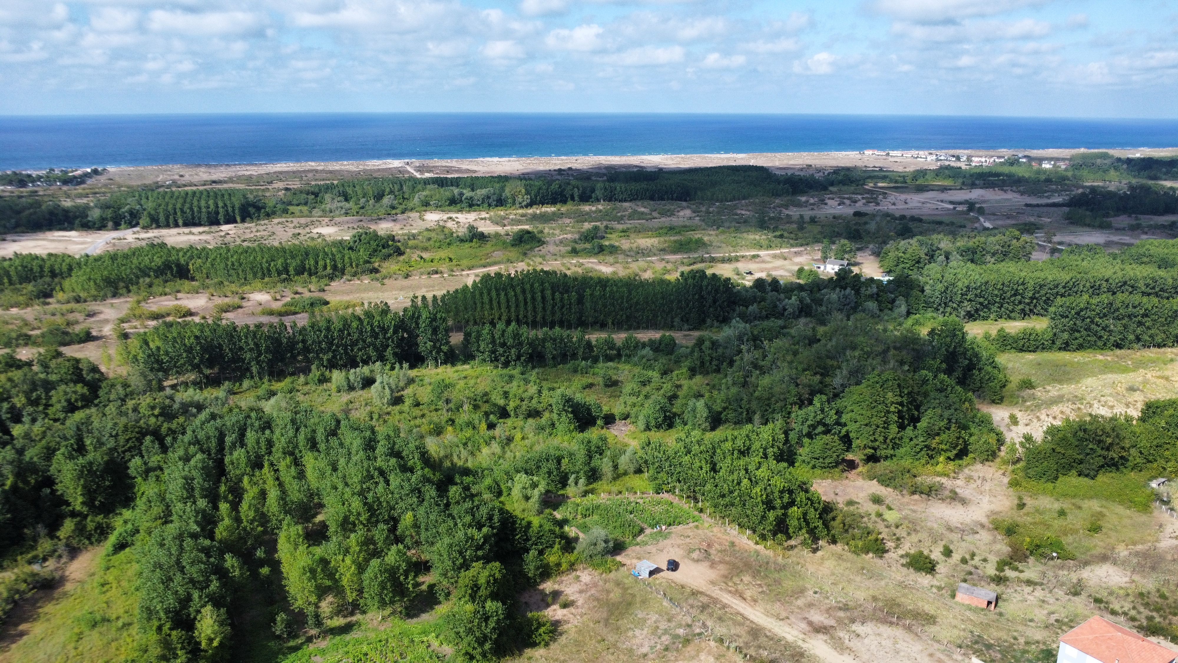 Karasu İhsaniye 1.591 m² Arsa